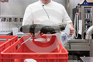 Chef in restaurant kitchen checking fresh fish delivery