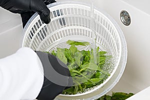 The chef`s hands are washed with mint by a stream of water, in a special container