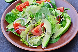 Chef salad, green tossed salad with leafy vegetables