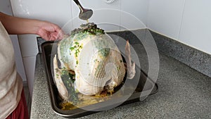 Chef seasoning cooking stuffed turkey, holiday menu concept.