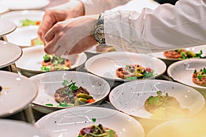 Chef is serving meat rolls with fresh veggies