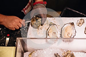 Chef shucking a fresh oyster with knife and stainless steel mesh oyster glove