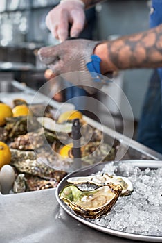 Chef shucking a fresh oyster with knife and stainless steel mesh oyster glove.