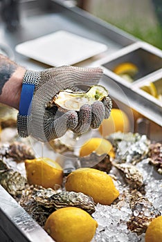 Chef shucking a fresh oyster with knife and stainless steel mesh oyster glove.