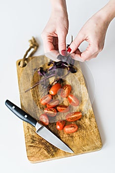 The chef tears off the leaves of basalica. Top view, white background. photo