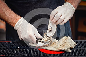 Chef in white gloves shucking a fresh oyster with knife.