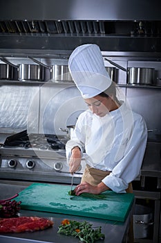 Chef woman portrait cutting at kitchen