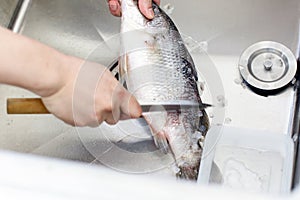 Chef at work,  chef filleting fish at the kitchen, Chef in restaurant kitchen filleting fish