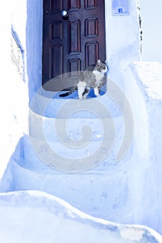 Chefchouen Moroccan blue city in the mountains photo