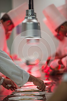 Chefs in luxury hotel restaurant kitchen cooking,