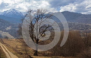 Cheile Gradistei valley landscape