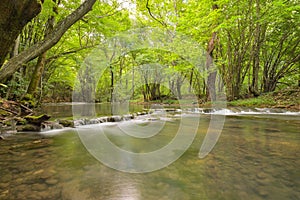 Cheile Nerei - Beusnita. Caras. Romania. Summer in wild Romanian river and forest. Long exposure