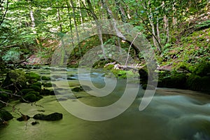 Cheile Nerei - Beusnita. Caras. Romania. Summer in wild Romanian river and forest. Long exposure