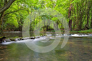 Cheile Nerei - Beusnita. Caras. Romania. Summer in wild Romanian river and forest. Long exposure