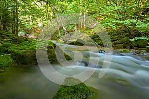 Cheile Nerei - Beusnita. Caras. Romania. Summer in wild Romanian river and forest. Long exposure