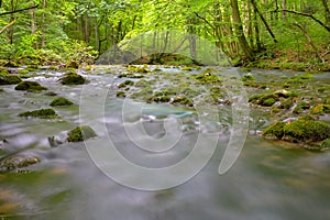 Cheile Nerei - Beusnita. Caras. Romania. Summer in wild Romanian river and forest. Long exposure