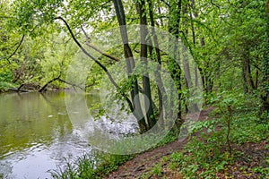 Spring landscape of Nera Gorges Natural Park, Romania, Europe photo