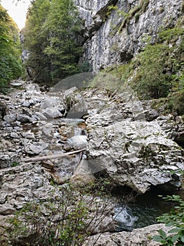 Cheile Rametului gorges natural park Alba, Romania