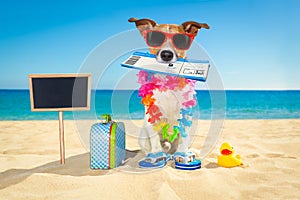 Chek in boarding pass summer dog