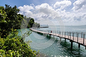 Chek Jawa Broadwalk Jetty, wooden platform in mangrove forest wetlands overlooking sea on Pulau Ubin Island, Singapore photo