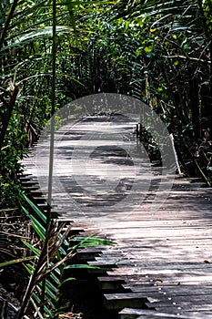 Chek Jawa Trail photo