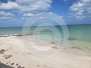 Chelem, Mexico Beach and pelicans