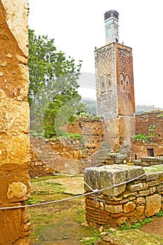 chellah in the old roman monument and site