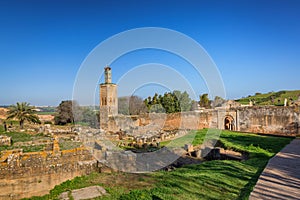 Chellah sanctuary in Rabat, Morocco