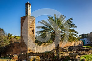 Chellah sanctuary in Rabat, Morocco