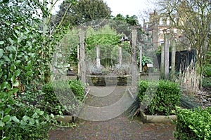 Chelsea physic garden formal path around bushes and flowerbeds