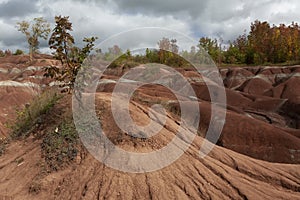 The Cheltenham Badlands