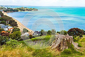 Cheltenham Beach View from North Head Auckland New Zealand photo