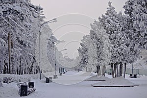 Chelyabinsk. Gagarin`s park in the winter.