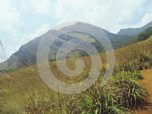 Chembra peak Meppadi Wayanad