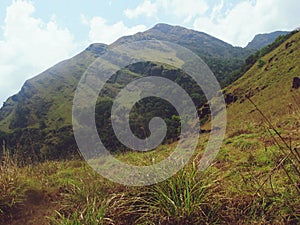 Chembra peak Meppadi Wayanad