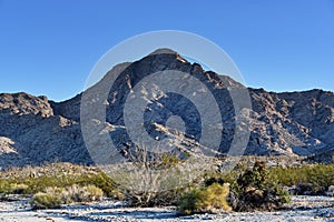 Chemehuevi Peak In The Mojave Desert