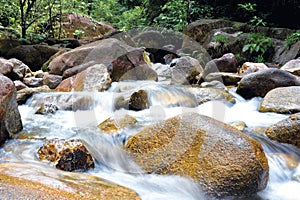 Chemerong Recreational Forest