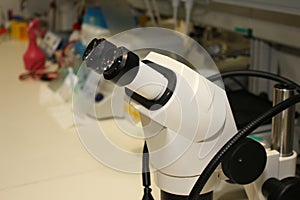 Chemestry Laboratory - microscope