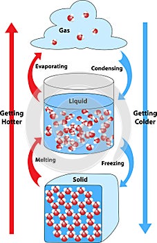 Chemical Bonds Formed and Broken