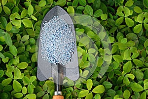 Chemical fertilizers in planting spoon