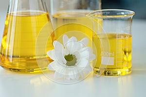 Chemical flasks with yellow cosmetic oil standing near white chamomile flower closeup