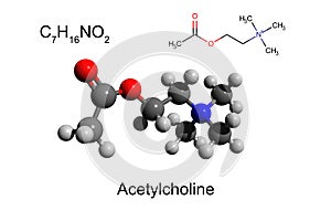 Chemical formula, skeletal formula and 3D ball-and-stick model of acetylcholine, white background photo