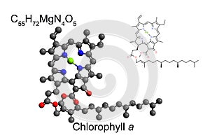 Chemical formula, skeletal formula, and 2D ball-and-stick model of the pigment chlorophyll a