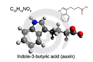 Chemical formula, skeletal formula and 3D ball-and-stick model of indole-3-butyric acid, the plant auxin, white background