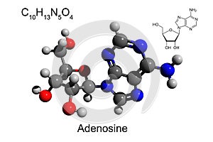 Chemical formula, skeletal formula, and 3D ball-and-stick model of nucleoside adenosine