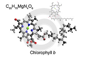 Chemical formula, skeletal formula, and 3D ball-and-stick model of the pigment chlorophyll b