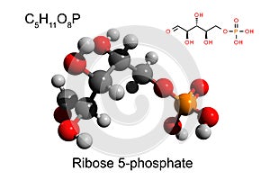 Chemical formula, skeletal formula and 3D ball-and-stick model of ribose 5-phosphate