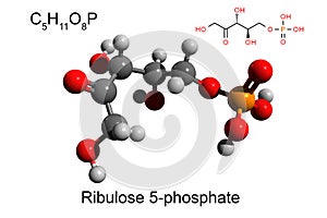 Chemical formula, skeletal formula and 3D ball-and-stick model of ribulose 5-phosphate