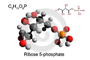 Chemical formula, skeletal formula and 3D ball-and-stick model of ribose 5-phosphate photo