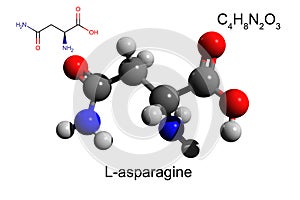Chemical formula structural formula and 3D ball-and-stick model of L-asparagine